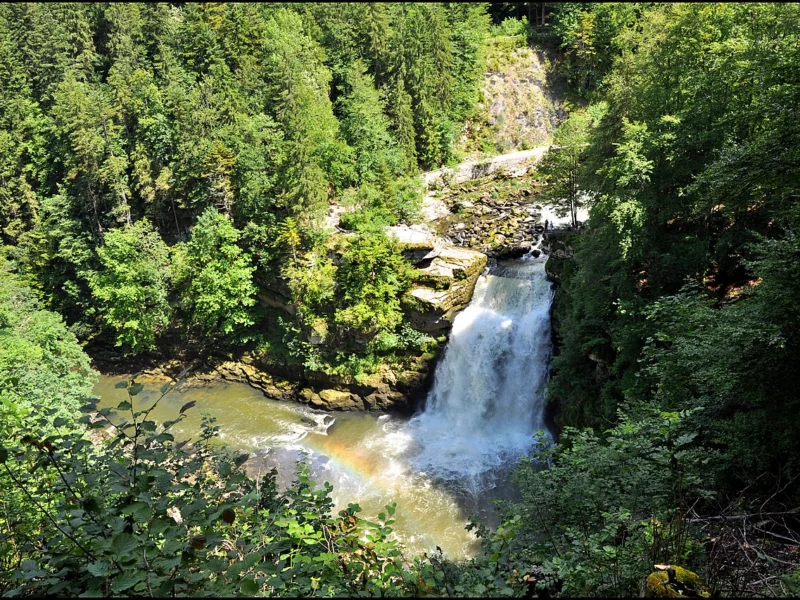 Cascade puissante tombant dans un bassin vert, encadrée de rochers et d'une forêt dense.