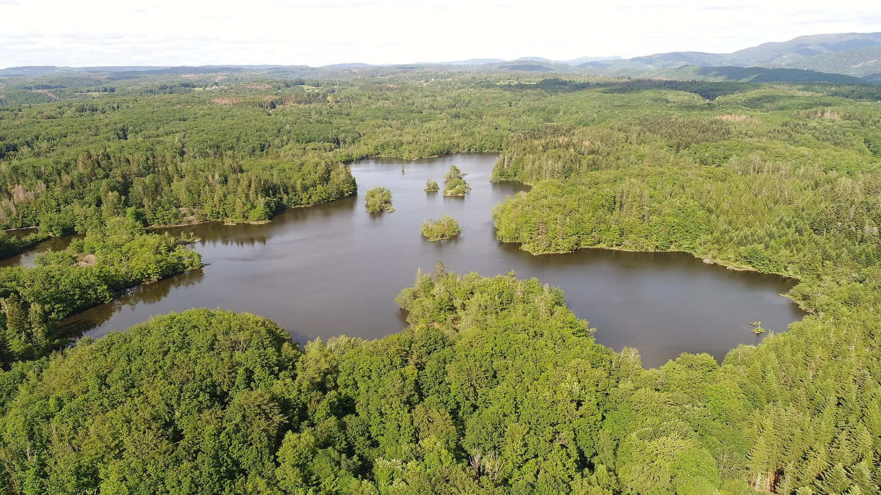 Vue aérienne d’un étang aux contours découpés, parsemé de petites îles boisées et entouré d’une forêt dense, avec des collines bleutées à l’horizon.