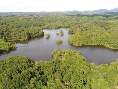 Vue aérienne d’un étang aux contours découpés, parsemé de petites îles boisées et entouré d’une forêt dense, avec des collines bleutées à l’horizon.