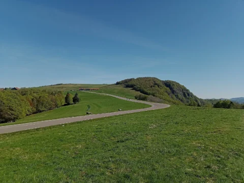 Vastes pentes herbeuses traversées par une route sinueuse, montant vers un sommet arrondi en partie boisé, sous un ciel bleu dégagé.