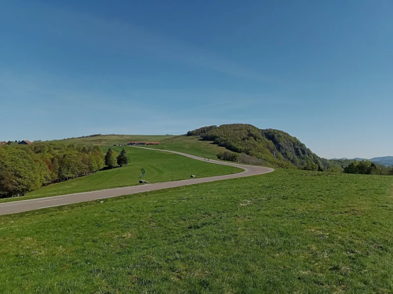 Vastes pentes herbeuses traversées par une route sinueuse, montant vers un sommet arrondi en partie boisé, sous un ciel bleu dégagé.