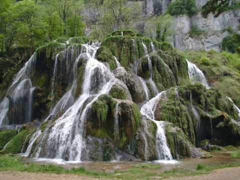 Nombreux filets d’eau blanche dévalant des gradins de tuf couverts de mousse verte, au pied d’une falaise et d’arbres.