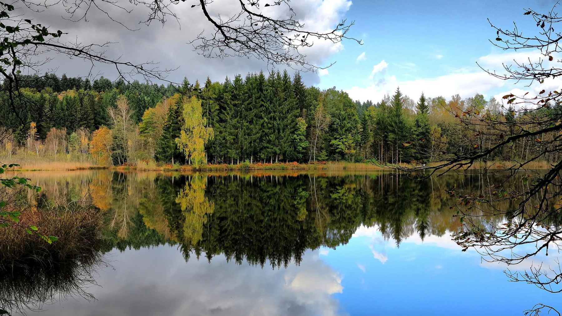 Étang aux eaux calmes reflétant une forêt aux couleurs d’automne sous un ciel bleu parsemé de nuages.