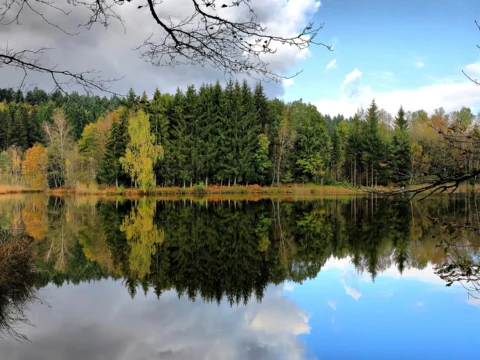 Étang aux eaux calmes reflétant une forêt aux couleurs d’automne sous un ciel bleu parsemé de nuages.