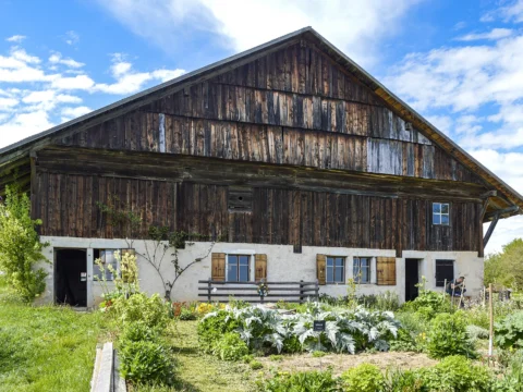 Grande ferme au toit à deux pans, haut du pignon en planches de bois sombre au-dessus d’un rez-de-chaussée enduit de blanc, potager au premier plan.