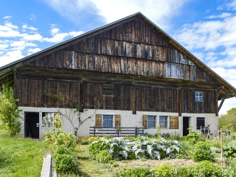Grande ferme au toit à deux pans, haut du pignon en planches de bois sombre au-dessus d’un rez-de-chaussée enduit de blanc, potager au premier plan.
