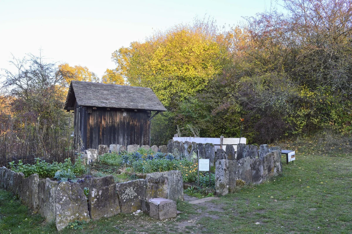 Carrés de potager bordés de murets de pierre devant un petit bâtiment de bois, arbres aux feuillages d’automne en arrière-plan.