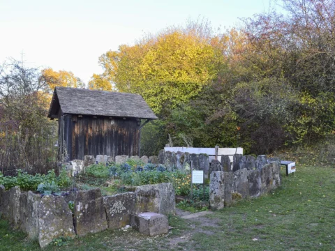 Carrés de potager bordés de murets de pierre devant un petit bâtiment de bois, arbres aux feuillages d’automne en arrière-plan.