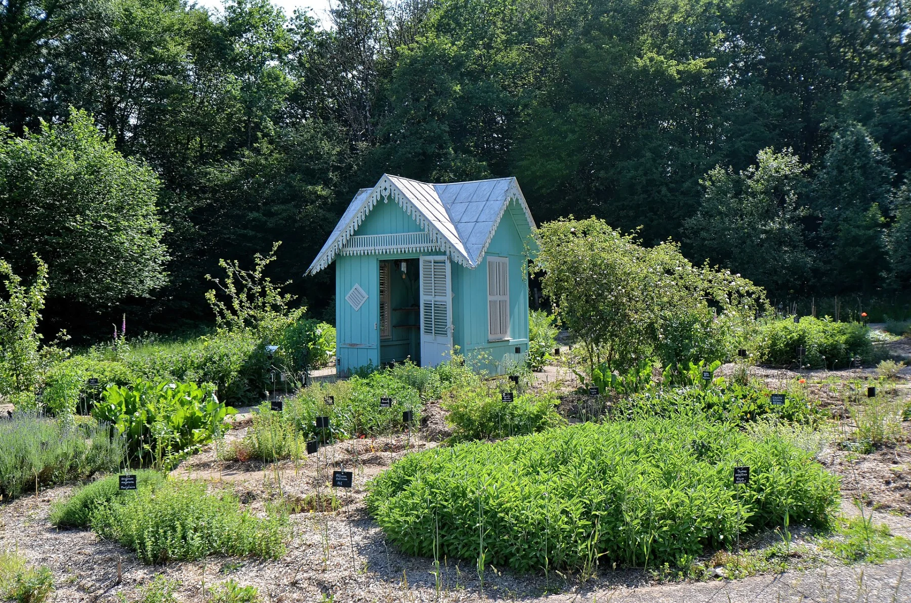 Petit kiosque de bois peint en bleu au milieu de massifs de plantes aromatiques et médicinales, sous des arbres.