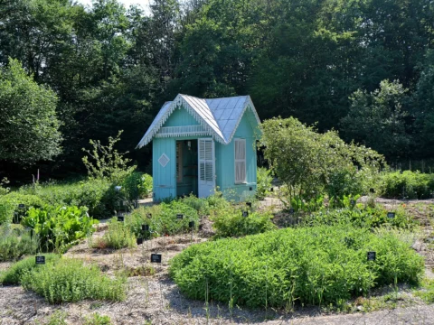 Petit kiosque de bois peint en bleu au milieu de massifs de plantes aromatiques et médicinales, sous des arbres.