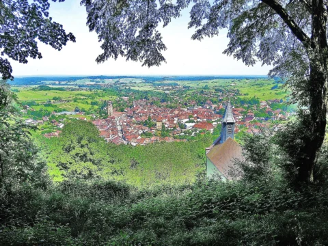 Vue plongeante sur les toits rouges d’Arbois et un clocher, encadrée de feuillages, avec la campagne verte qui s’étend jusqu’à l’horizon.