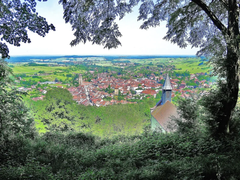Vue plongeante sur les toits rouges d’Arbois et un clocher, encadrée de feuillages, avec la campagne verte qui s’étend jusqu’à l’horizon.