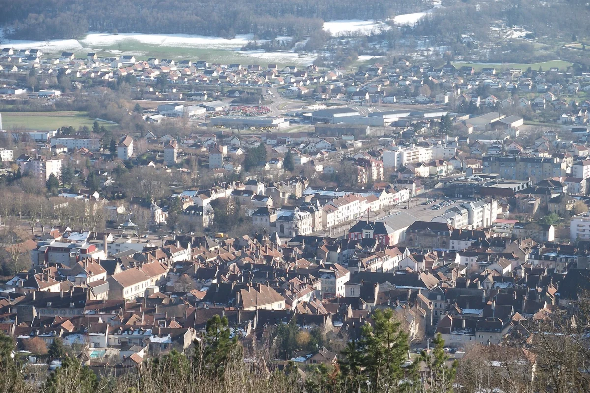 Vue plongeante sur les toits serrés d’une ville, avec des arbres dénudés au premier plan et des collines boisées à l’horizon.