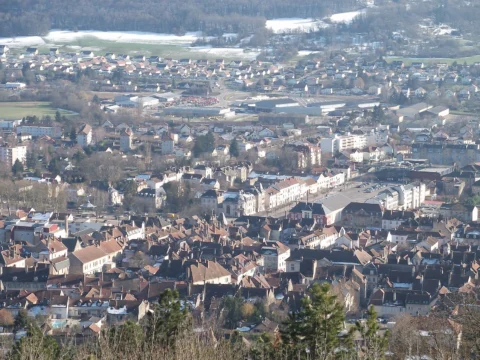 Vue plongeante sur les toits serrés d’une ville, avec des arbres dénudés au premier plan et des collines boisées à l’horizon.