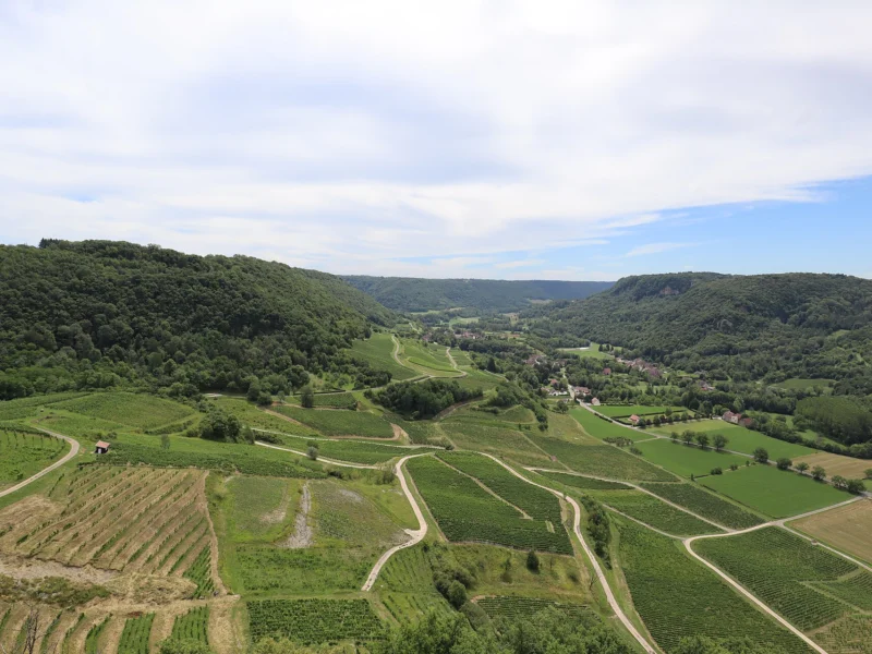 Parcelles de vigne en rangs serrés descendant vers une vallée verdoyante, encadrée de collines boisées, sous un ciel nuageux.