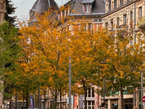 Arbres aux feuillages orangés devant des immeubles anciens à Belfort