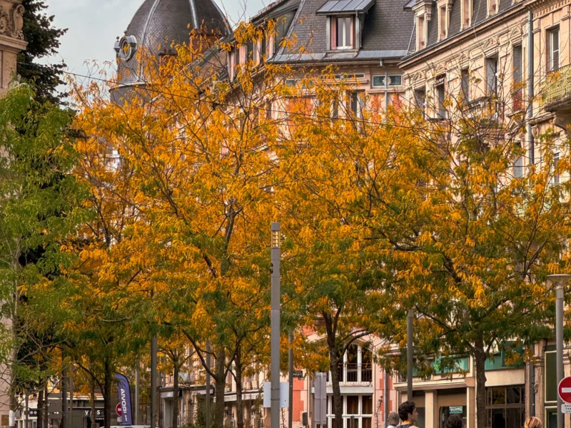 Arbres aux feuillages orangés devant des immeubles anciens à Belfort