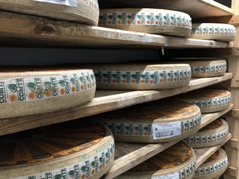 Meules de comté alignées sur des planches d’épicéa dans une cave d’affinage