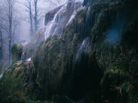 Cascade de tuf couverte de mousse dans une forêt du Jura