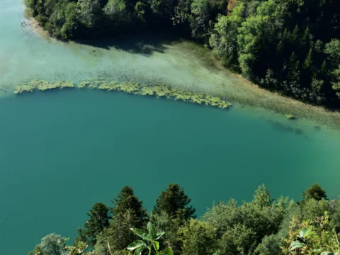 Lac aux eaux turquoise bordé de forêt, vu d’en haut, dans le Jura