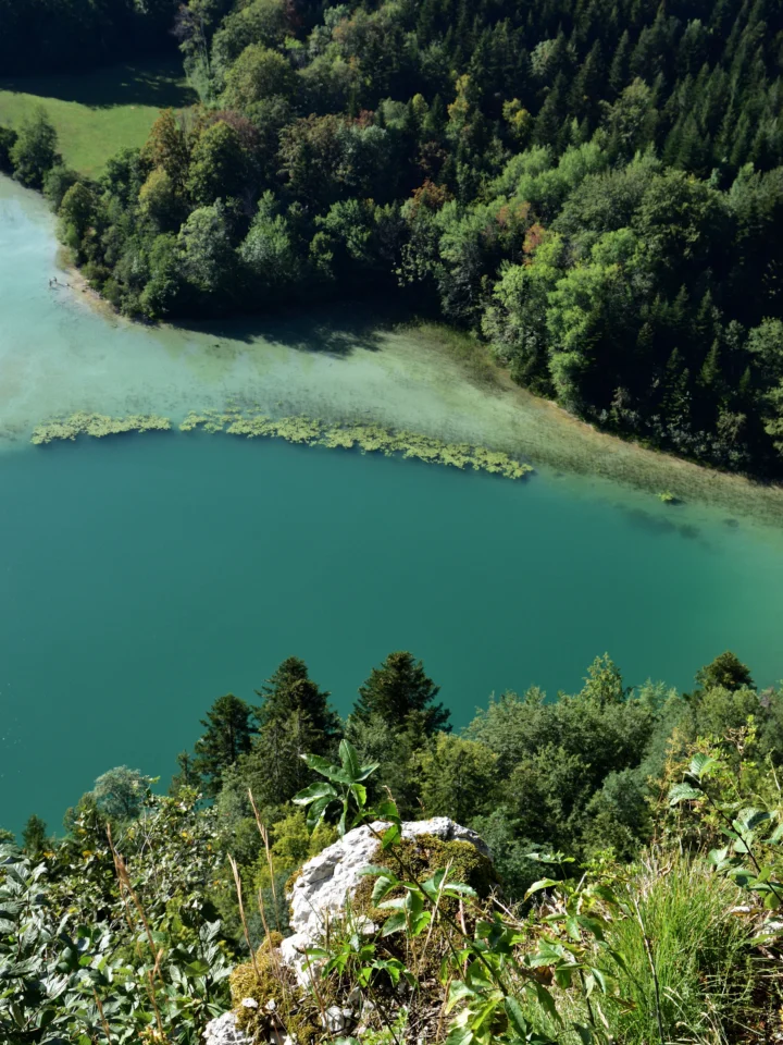 Lac aux eaux turquoise bordé de forêt, vu d’en haut, dans le Jura