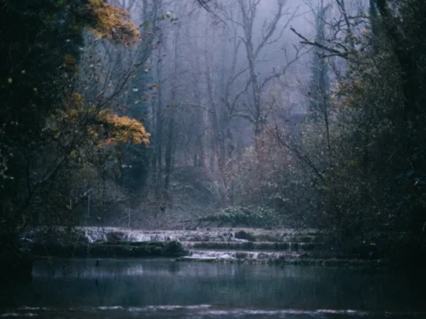 Rivière dans une forêt brumeuse d’automne, dans le Jura