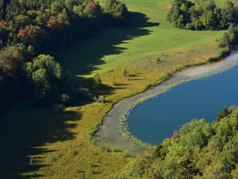 Méandre d’une rivière entre prairies et forêts, vu d’en haut, dans le Jura